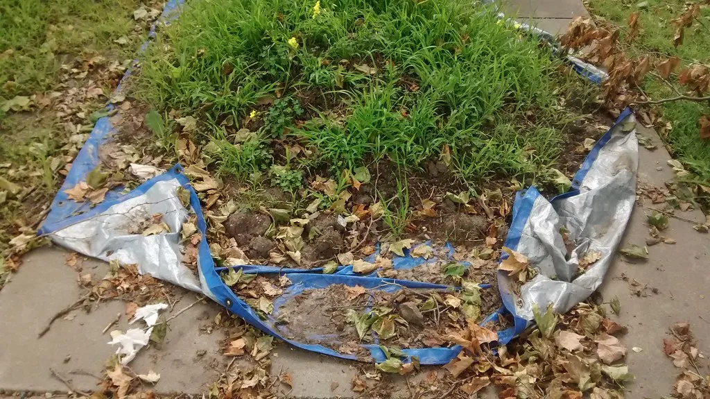 Bâche plastique étanche posée sur l'herbe, dont un coin soulevé laisse voir le sol dénudé en dessous