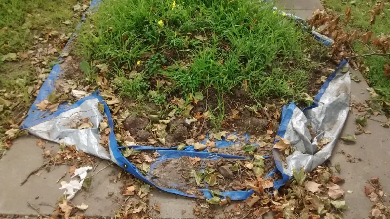 La bâche plastique sous la tente : un mauvais réflexe qui tue la pelouse