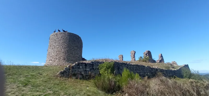 Vue des ruines du château de Thénières depuis le chemin d'accès en Aveyron