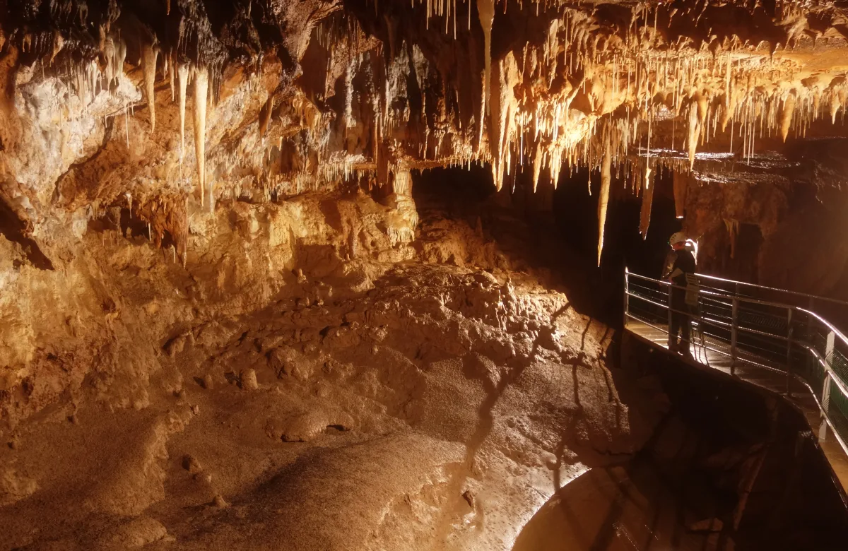 Galerie de concrétions et passerelle de visite aménagée dans la grotte de Foissac, en Aveyron