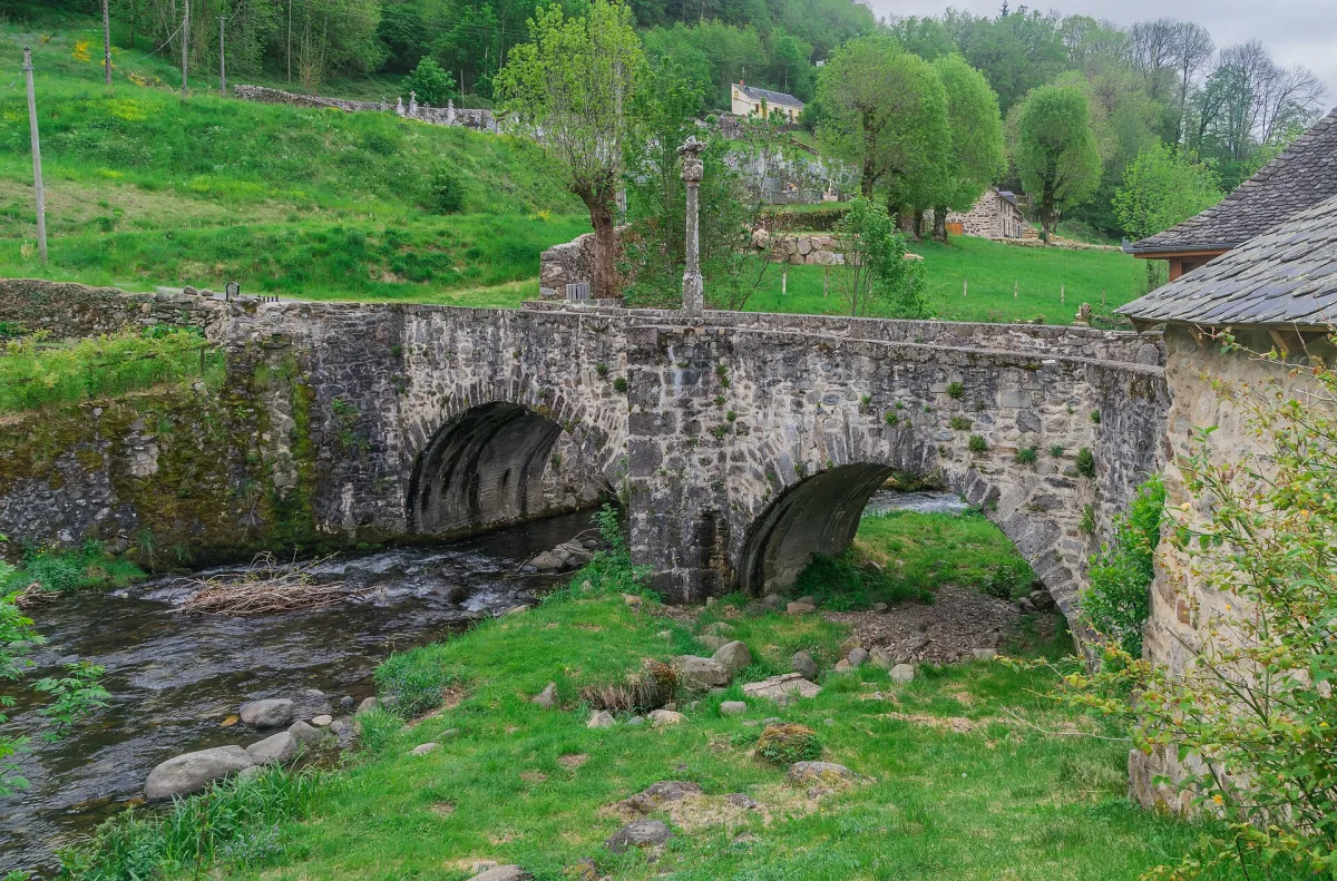 Sentier du GR65 traversant le plateau de l'Aubrac avec balisage jacquaire, Aveyron