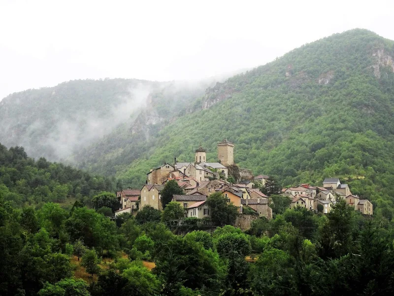 Parc des Grands Causses : vautours, brebis et karst en Aveyron