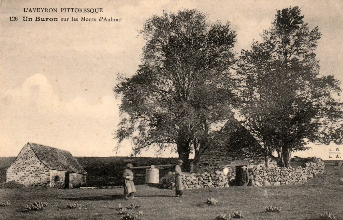 Buron en pierre sèche au toit de lauze sur le plateau de l'Aubrac, entouré de pâturages