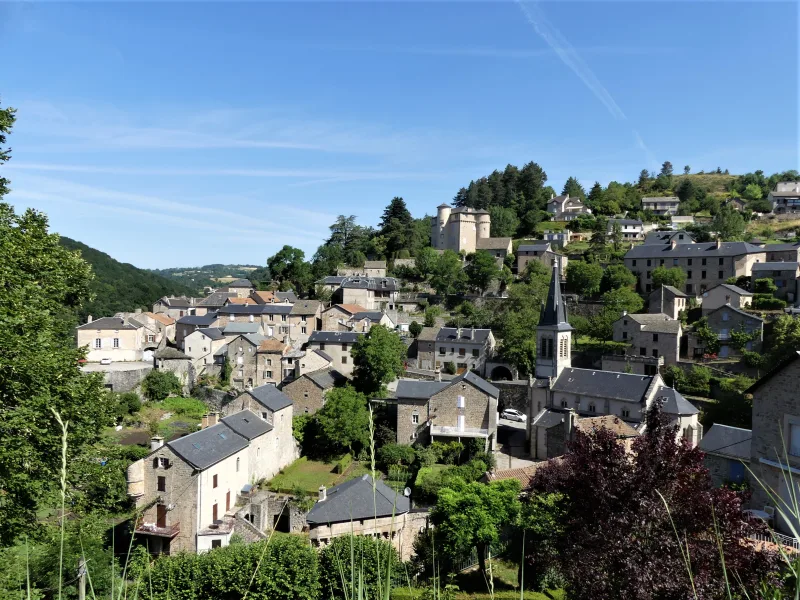 Micropolis Saint-Léons : la cité des insectes en Aveyron