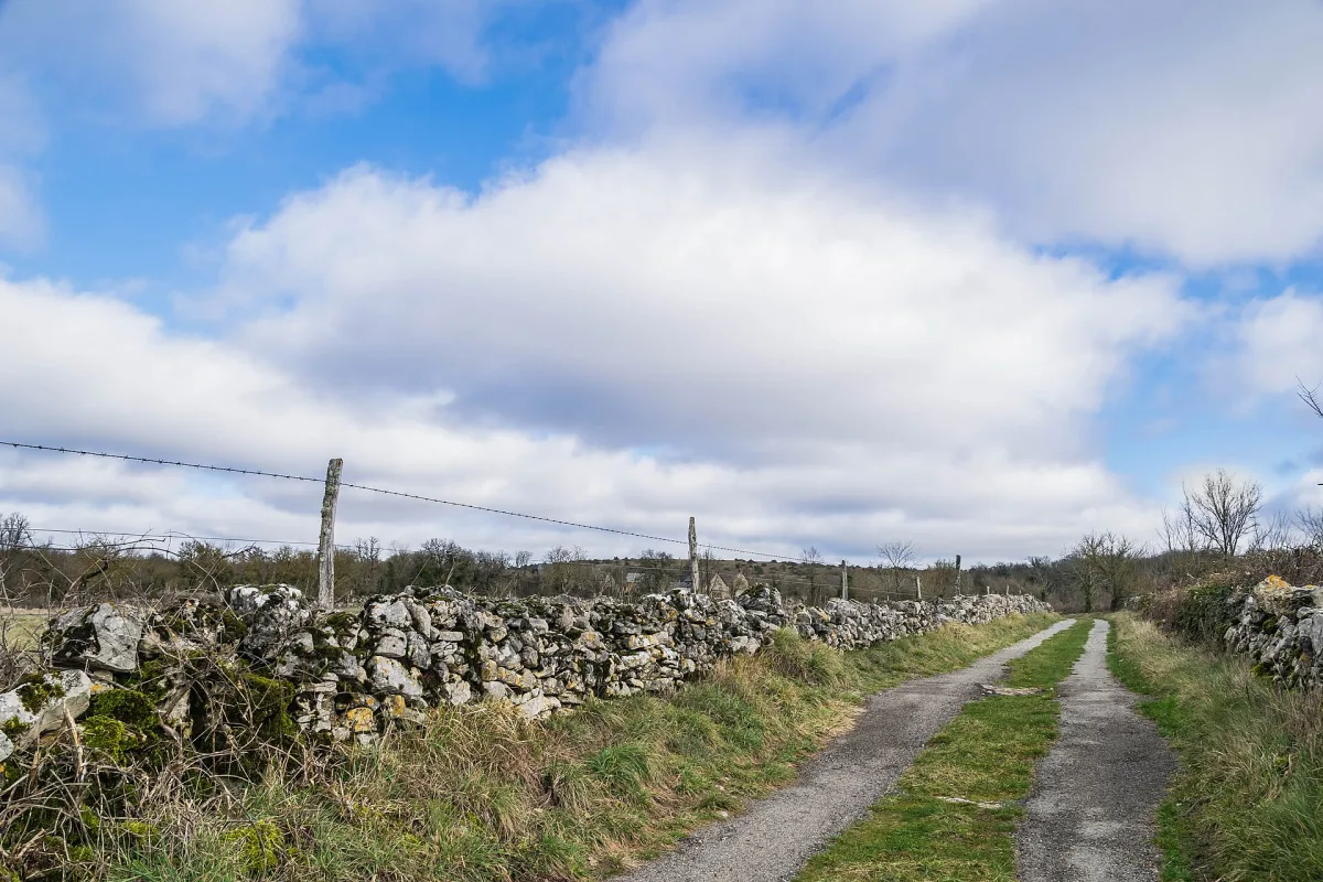 Sentier de randonnée traversant une pelouse calcaire sèche du Causse Comtal en Aveyron, avec vue dégagée sur l'horizon